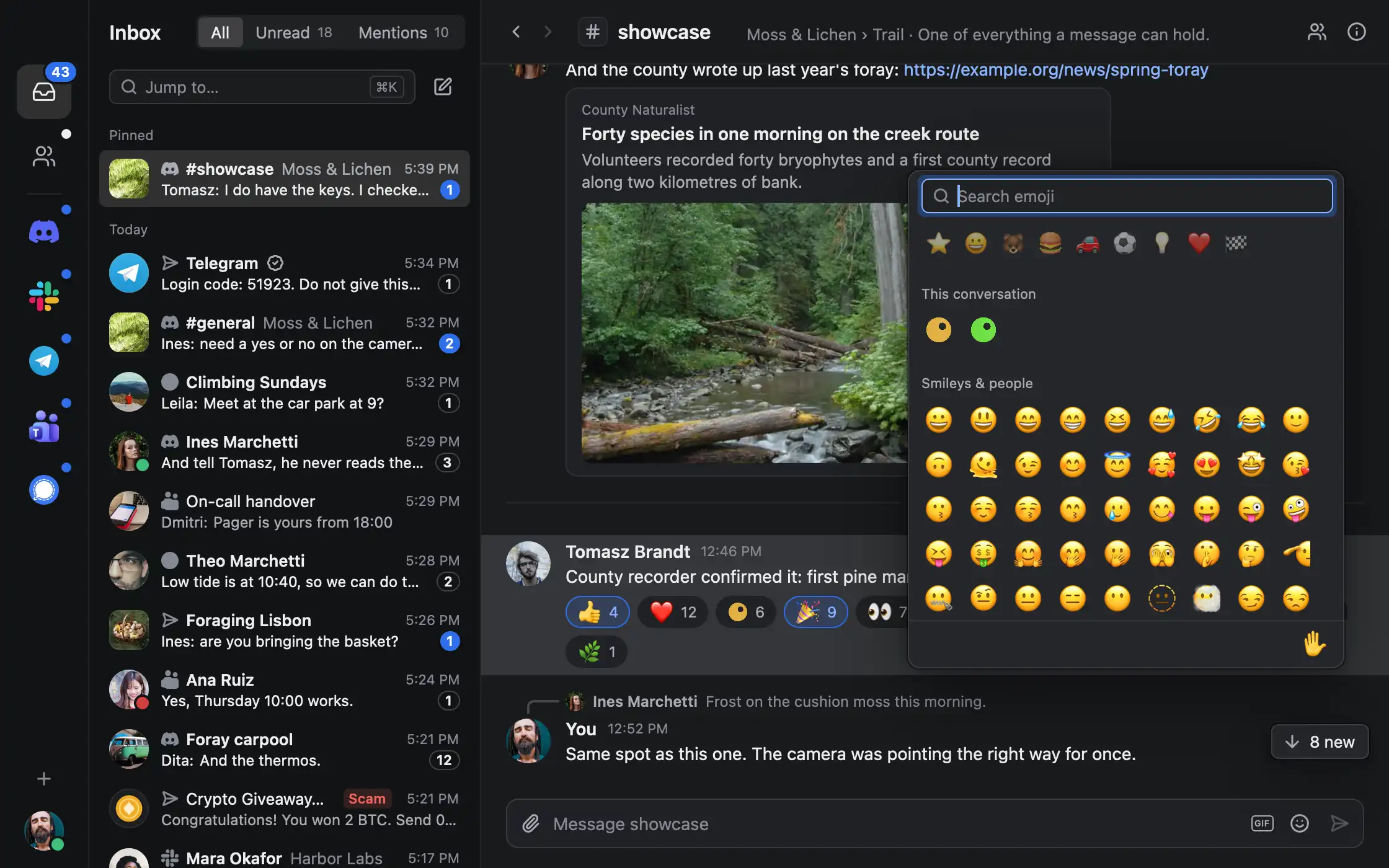 tinyclient's emoji picker open over a Discord channel, with search, this conversation's custom emoji and every standard emoji.